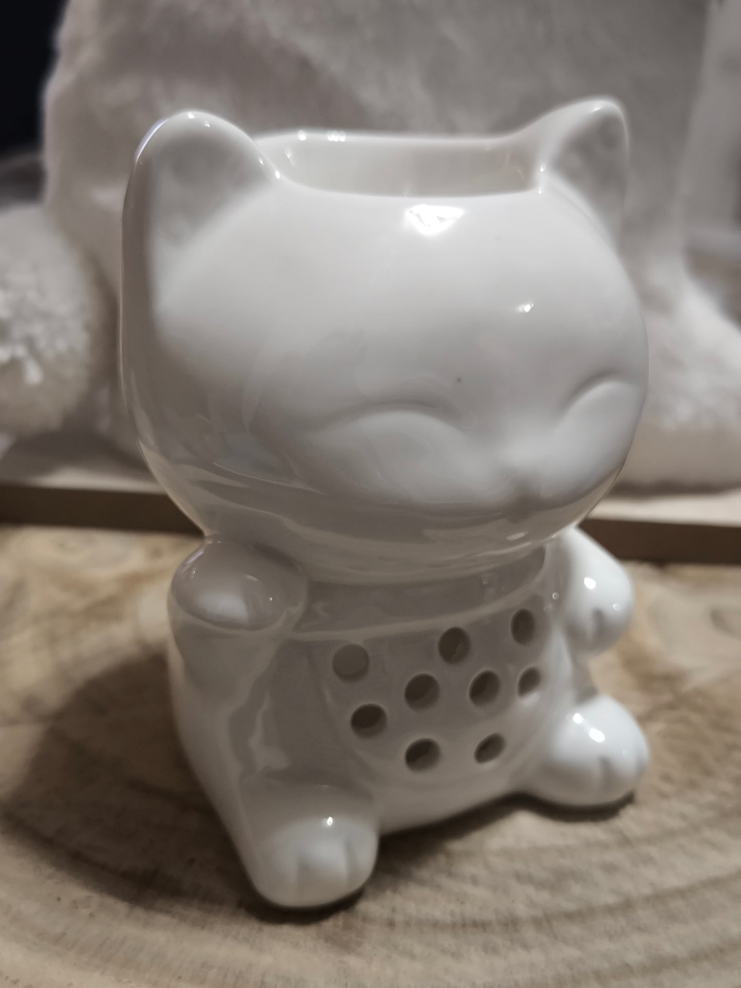 Tommy le chat