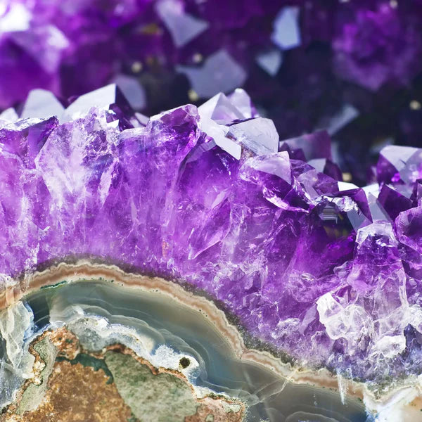 Amethyste format plume