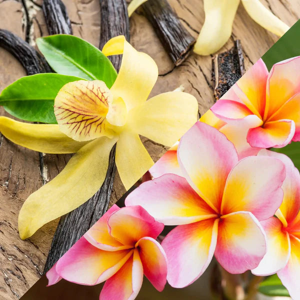 Monoi vanillée format plume