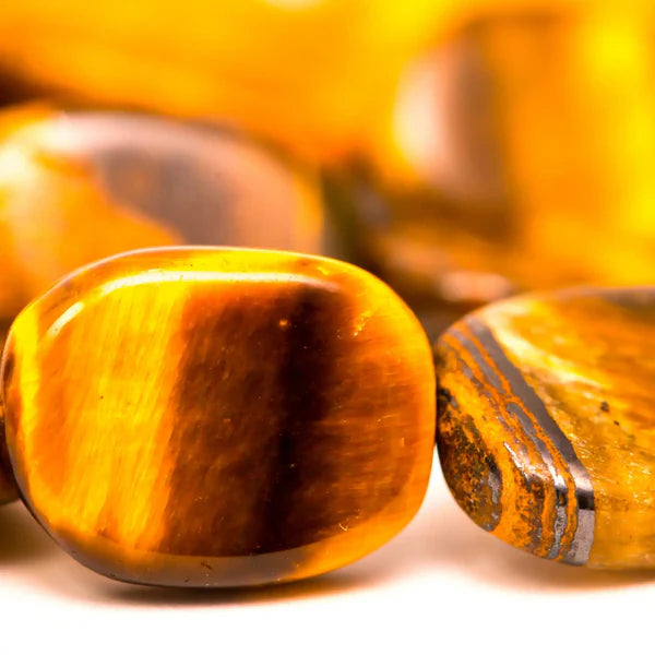 Oeil de tigre format plume