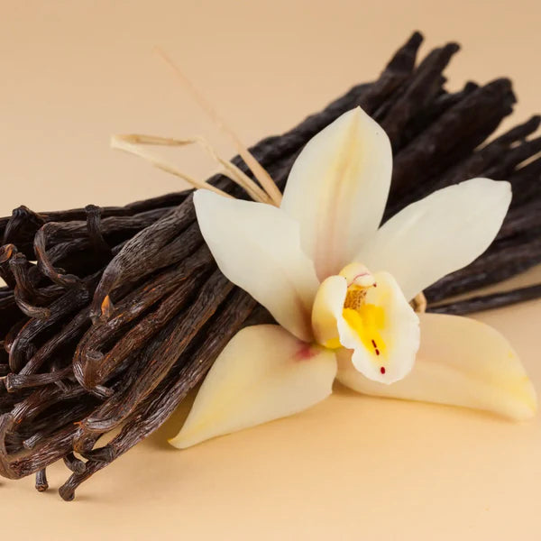 Vanille format plume