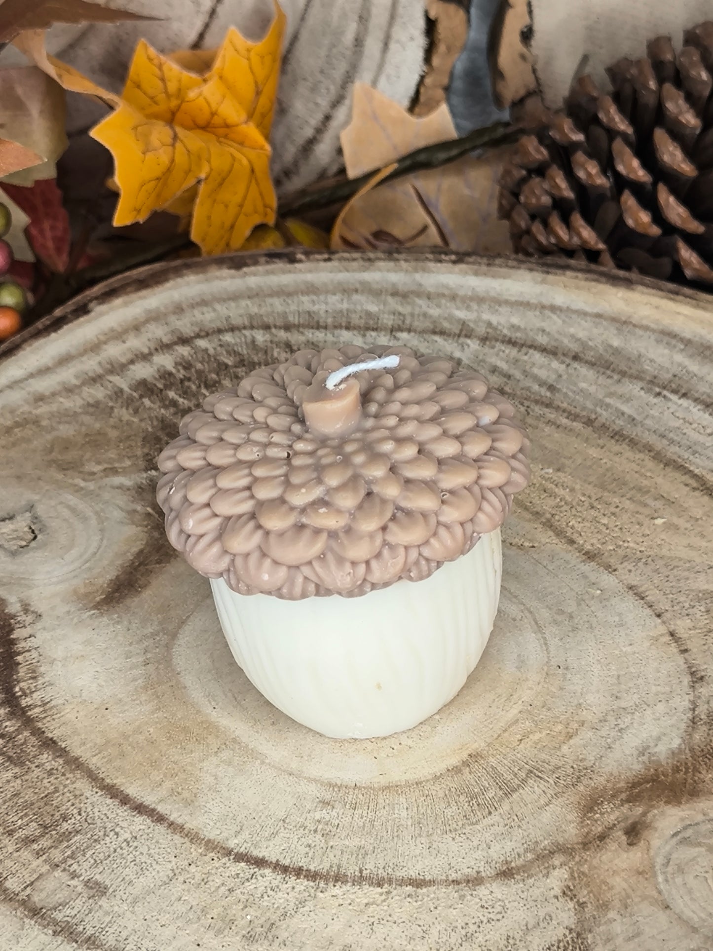 Petit gland d'automne