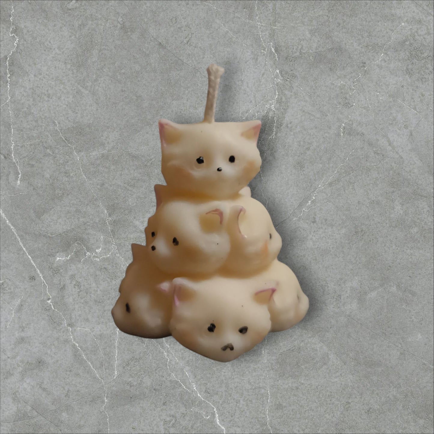 1001 et 1 chat