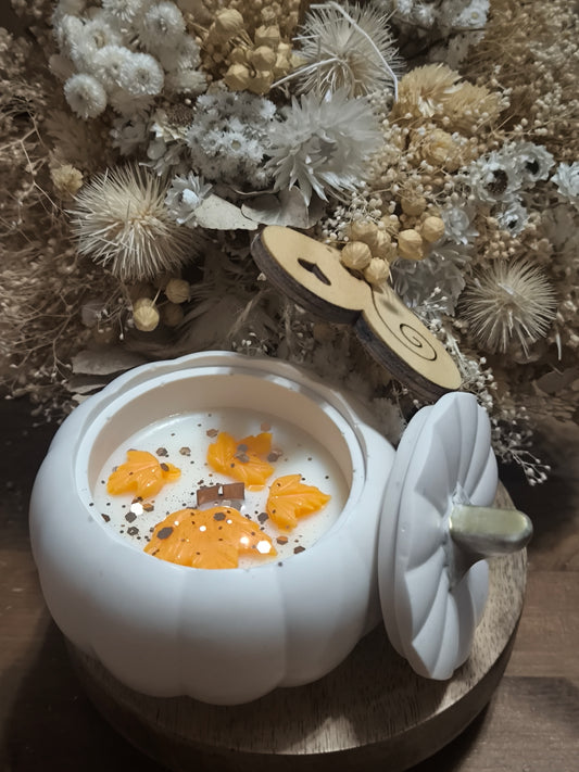 Citrouille enchantée