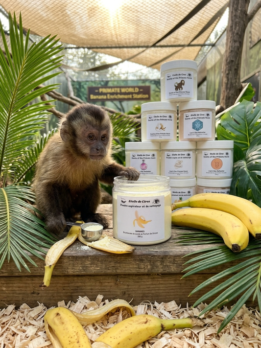 Banane