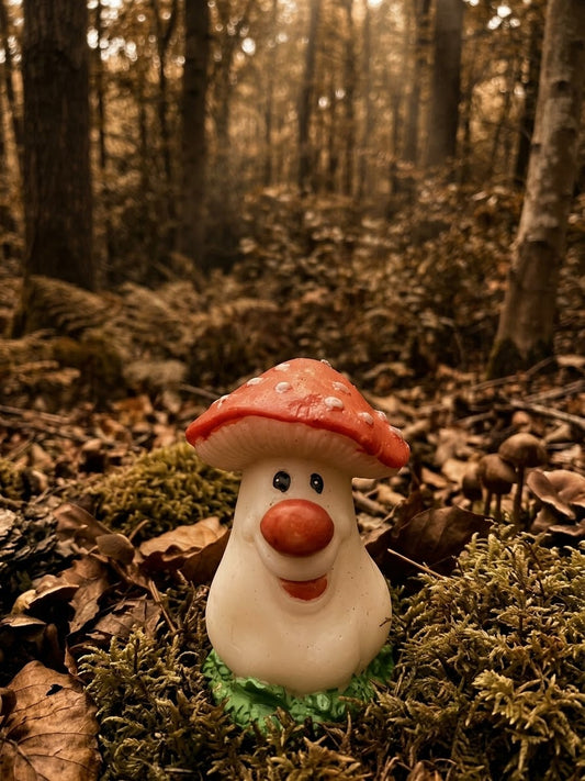 Le joyeux champignon