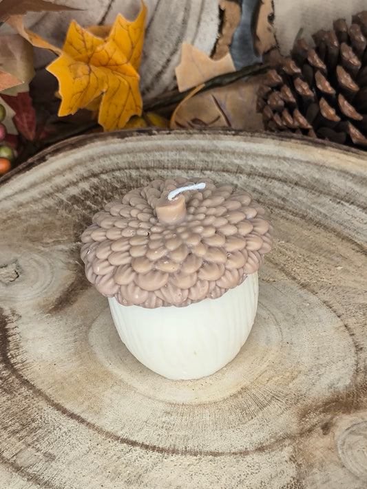 Petit gland d'automne