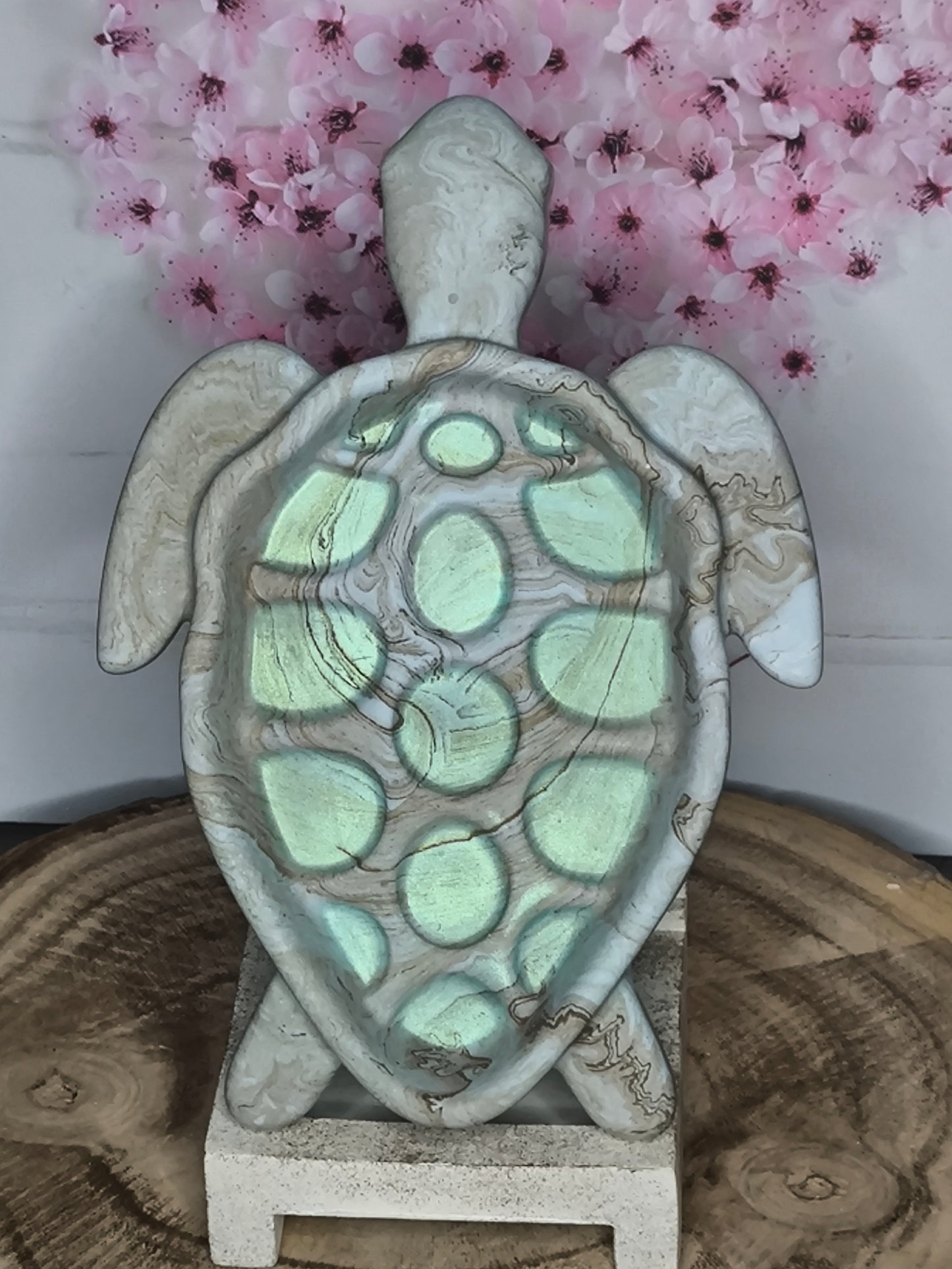 Honolulu la tortue