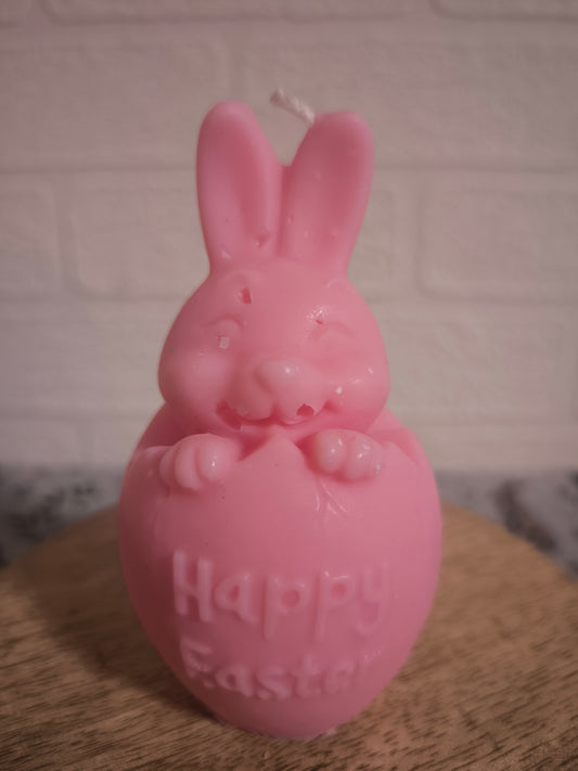 Lapin dans sa coquille