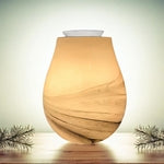 Le Desert