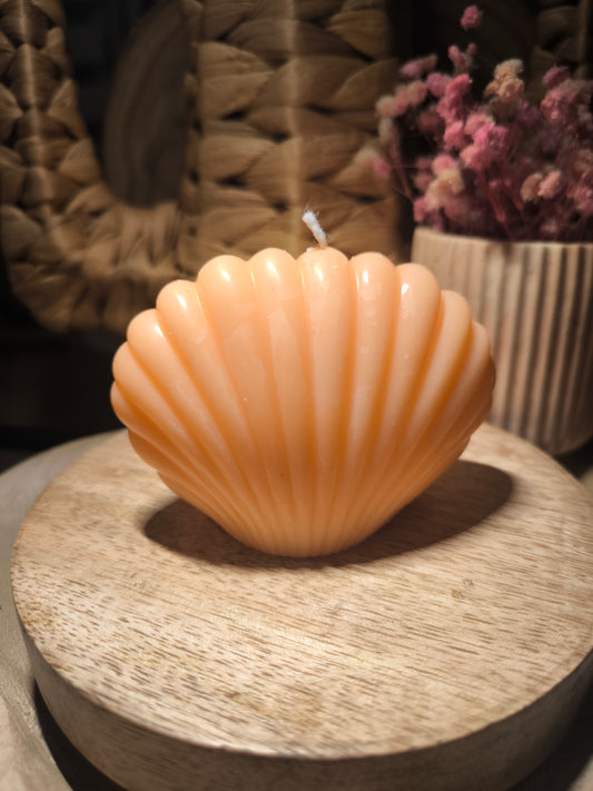 Coquille magique
