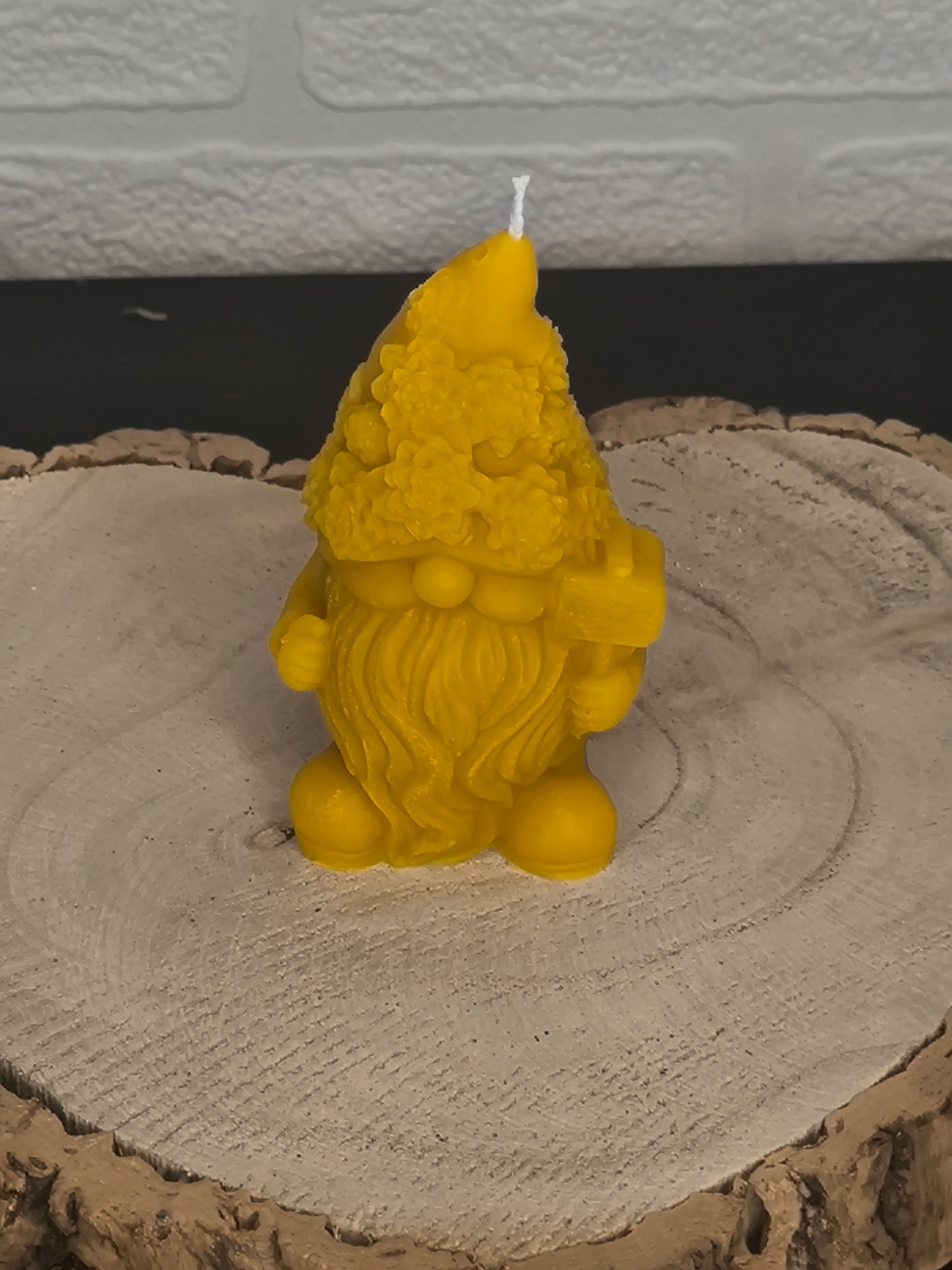 Le Gnome et son jardin