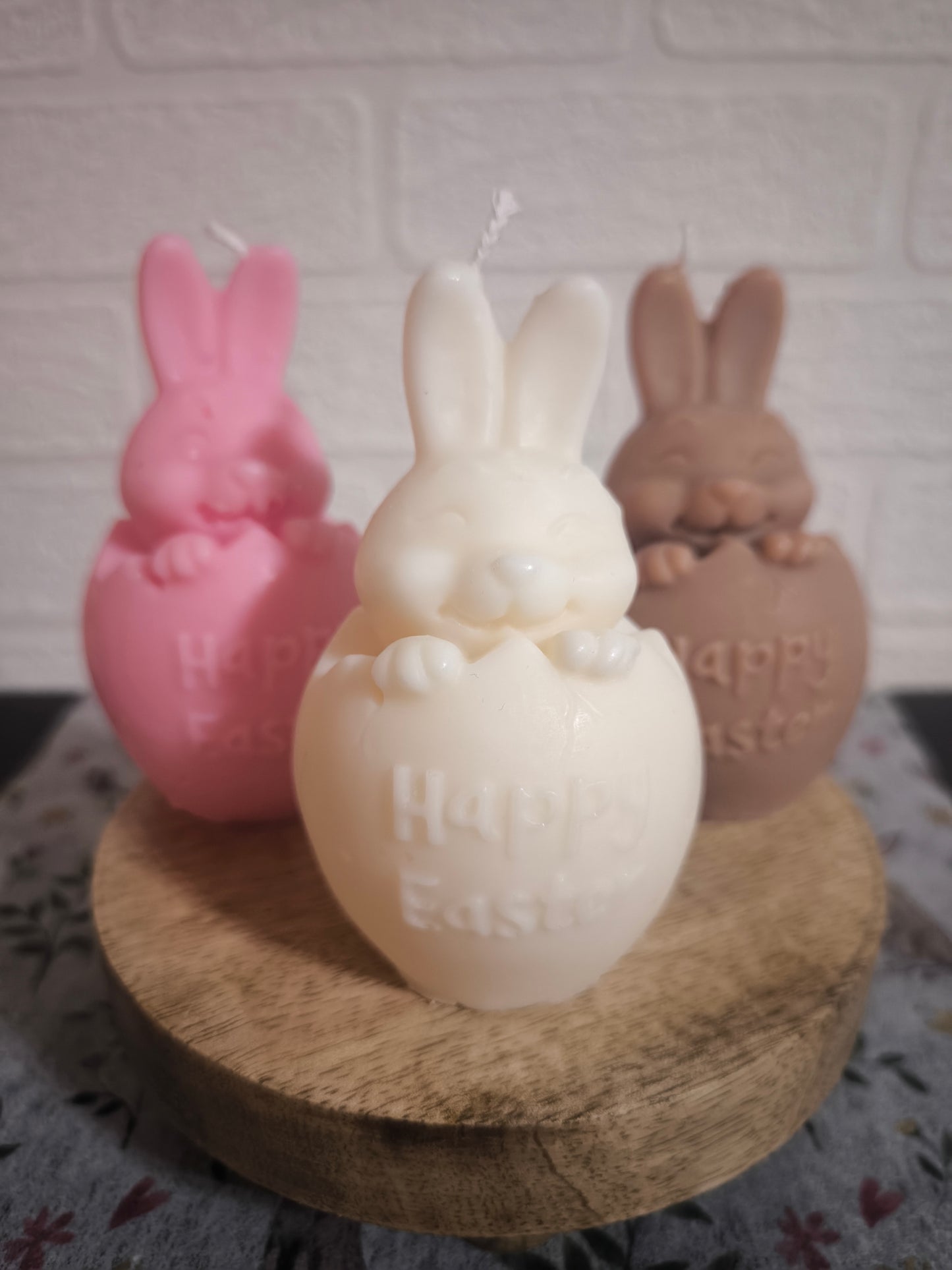 Lapin dans sa coquille