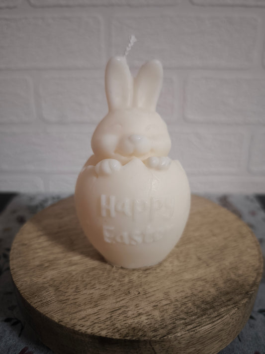 Lapin dans sa coquille