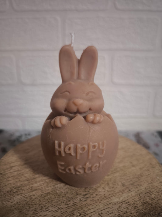 Lapin dans sa coquille